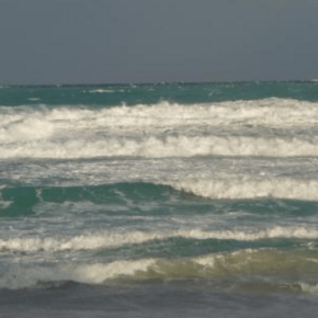 La prudencia se impone en la flota y se suspende la prueba de&nbsp;Liga